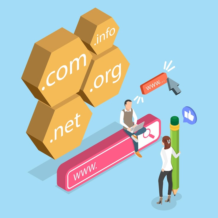 Dominio web